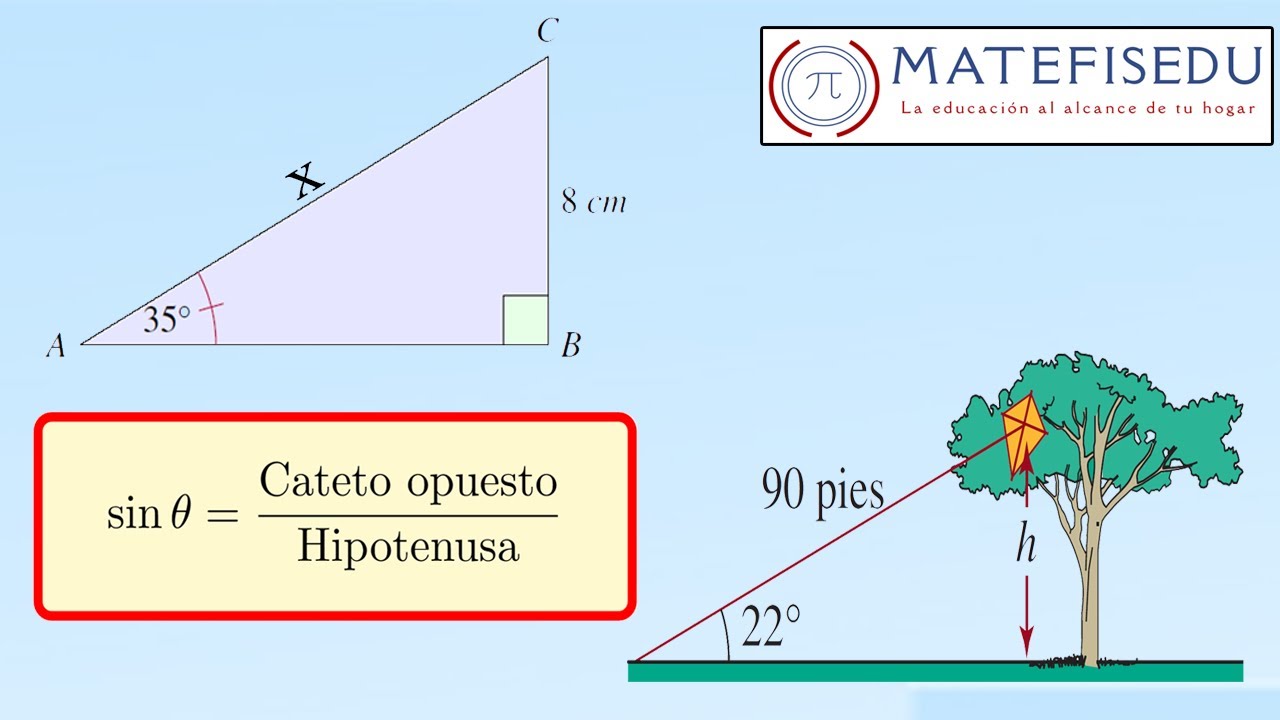 La raz&oacute;n seno - calcular el cateto opuesto o la hipotenusa