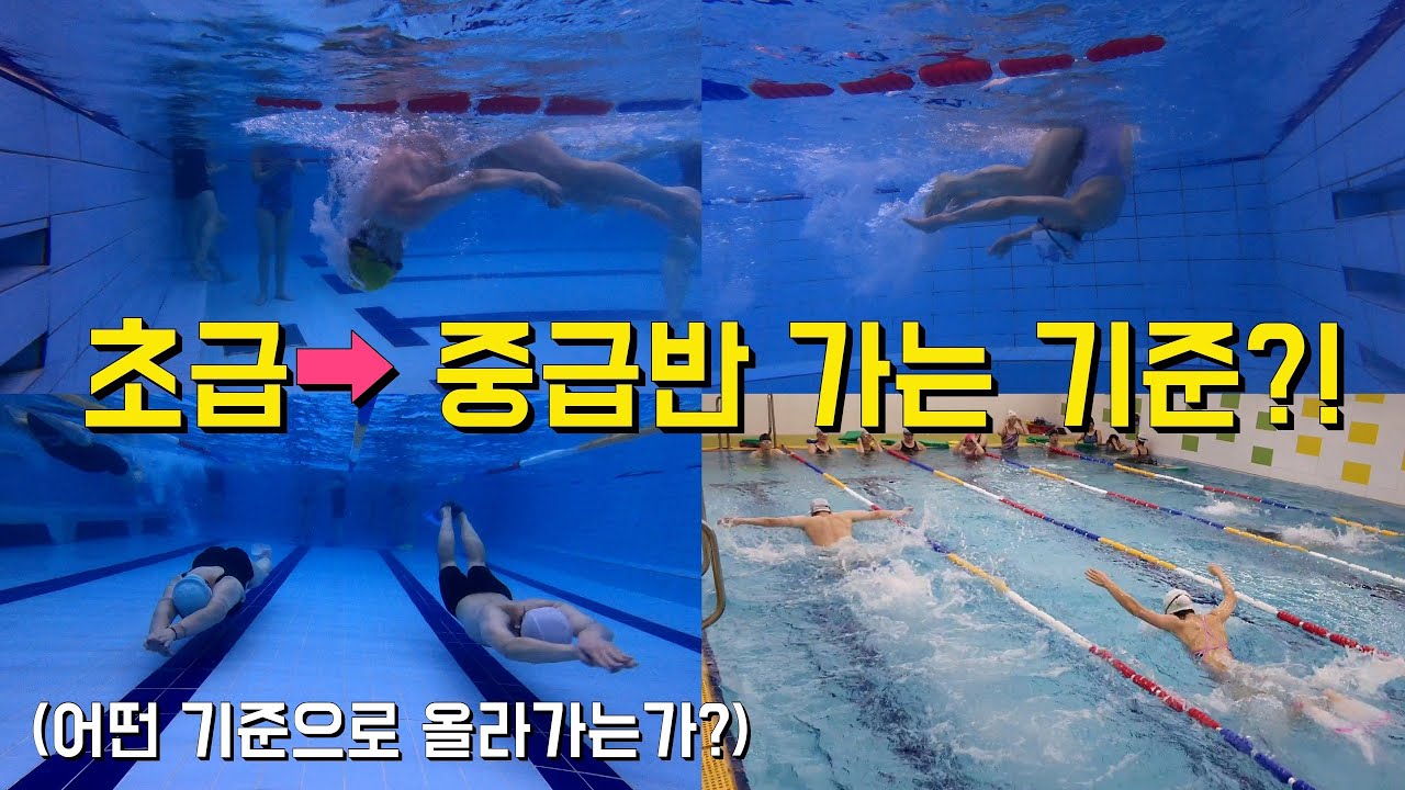 수영장 초급반에서 중급반 올라가는 기준에 대해 알아보자!