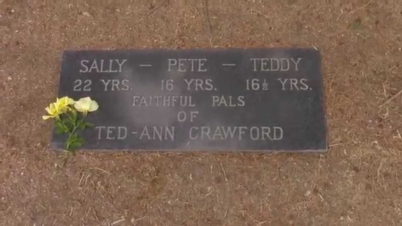 Pete The Pup's Final Resting Place