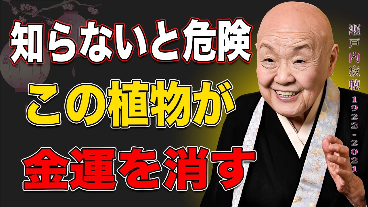 【瀬戸内寂聴】玄関に置いてはいけない観葉植物7選｜知らないと貧乏を招く理由