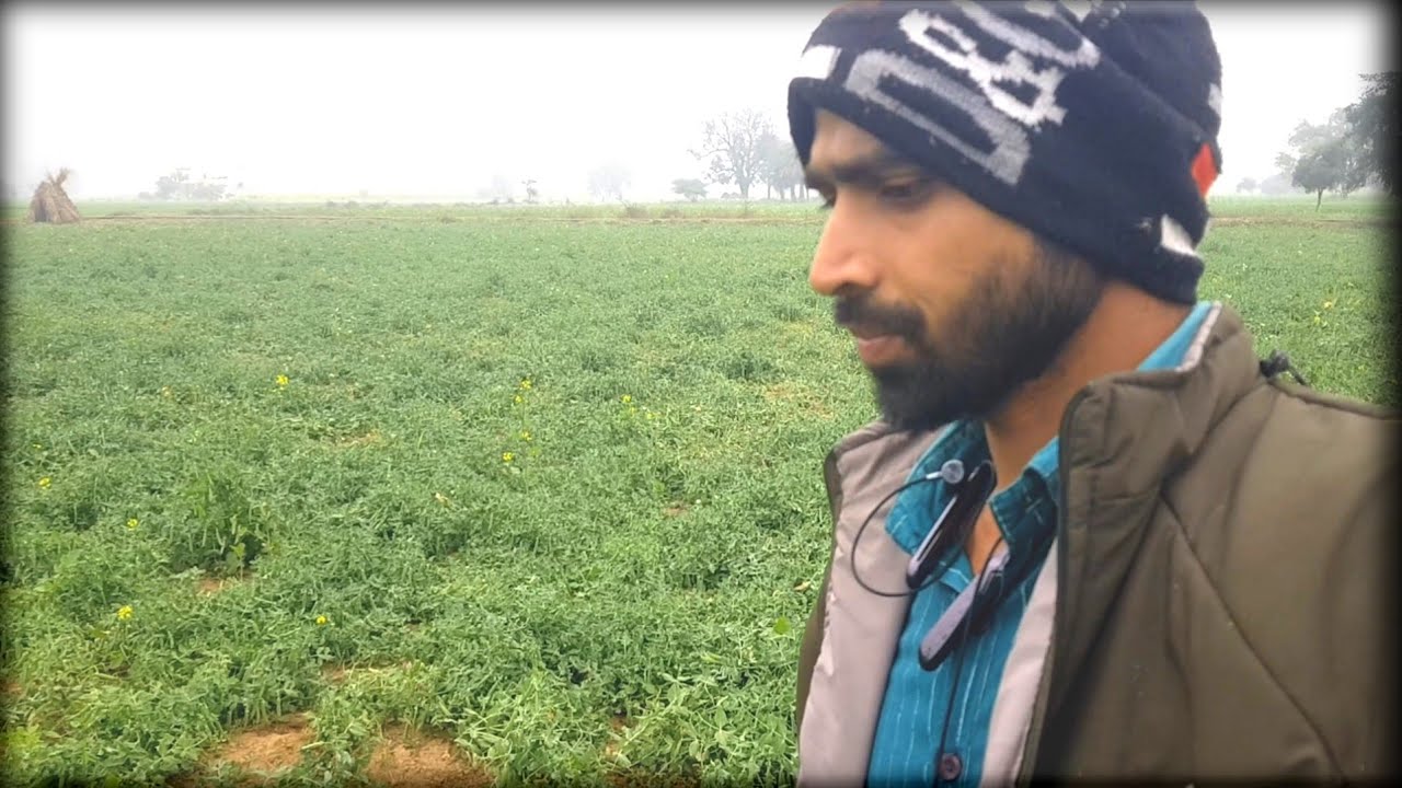 सर्दी में गेहूं के खेत में पानी लगाने गए#minivlog #villagevlog #sauravjoshivlogs #foodvlog #khetvlog