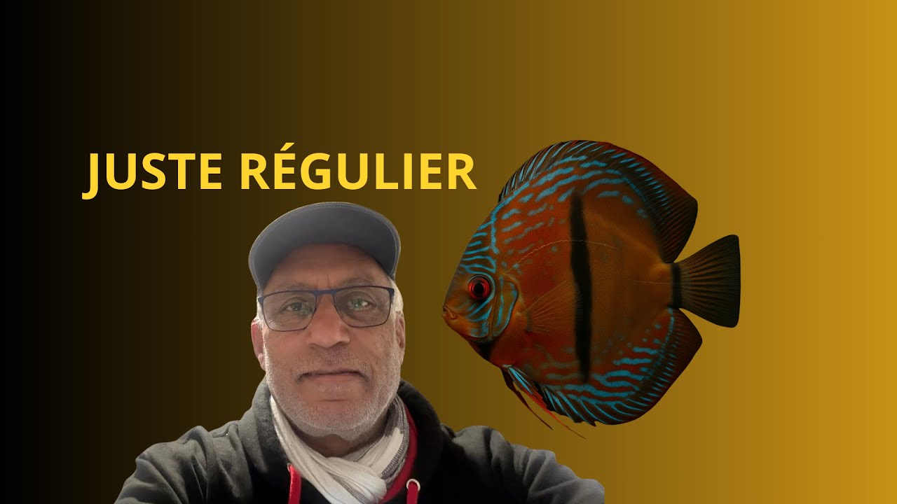 👉 Pourquoi le discus n’est pas difficile (si tu es régulier)