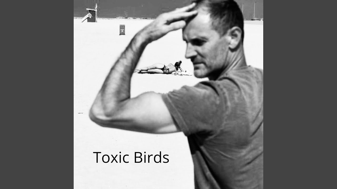 Toxic Birds