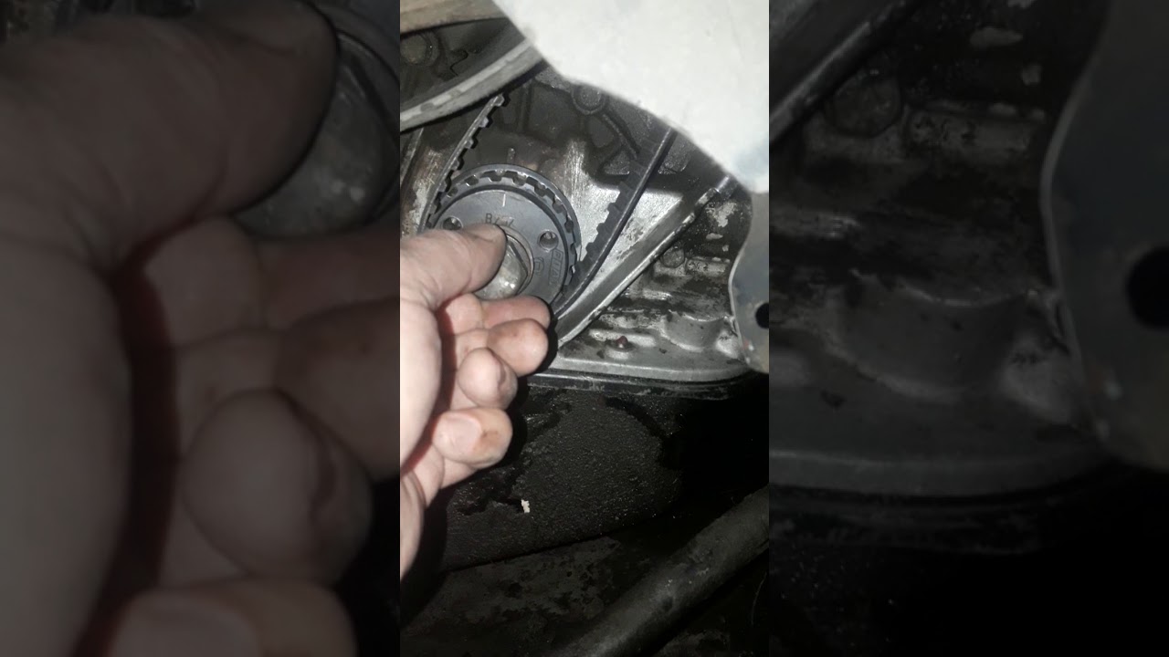 Puesta a punto Fiat Tempra ie 8v motor 2000