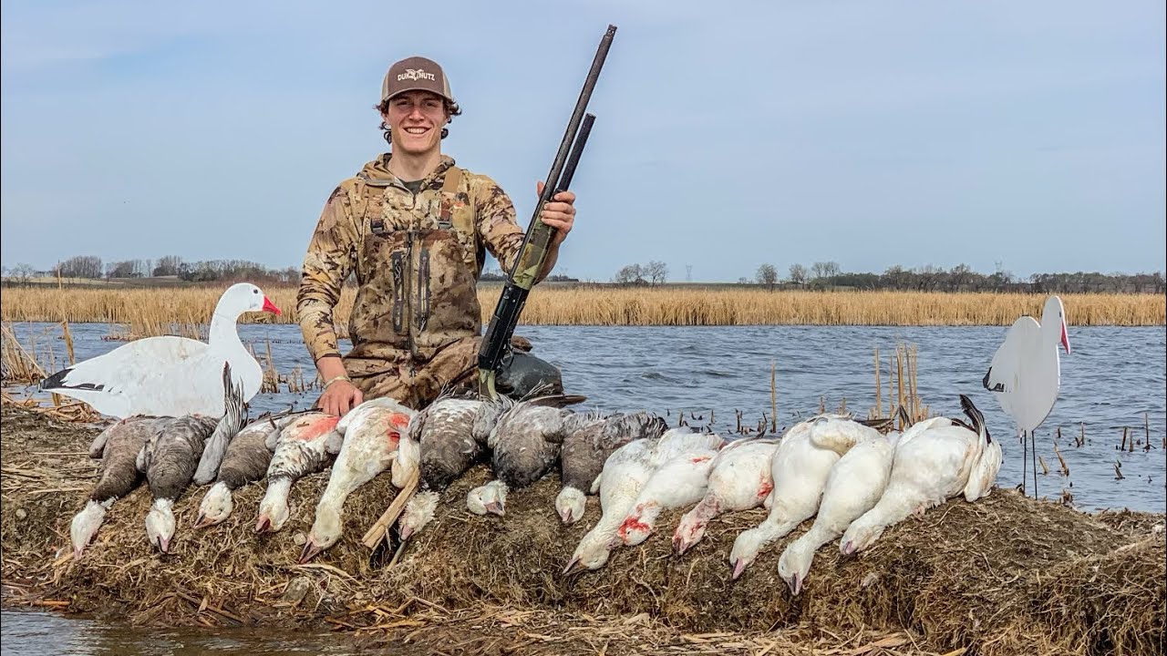 CRAZY Solo Snow Goose Hunt (Catch and Cook)
