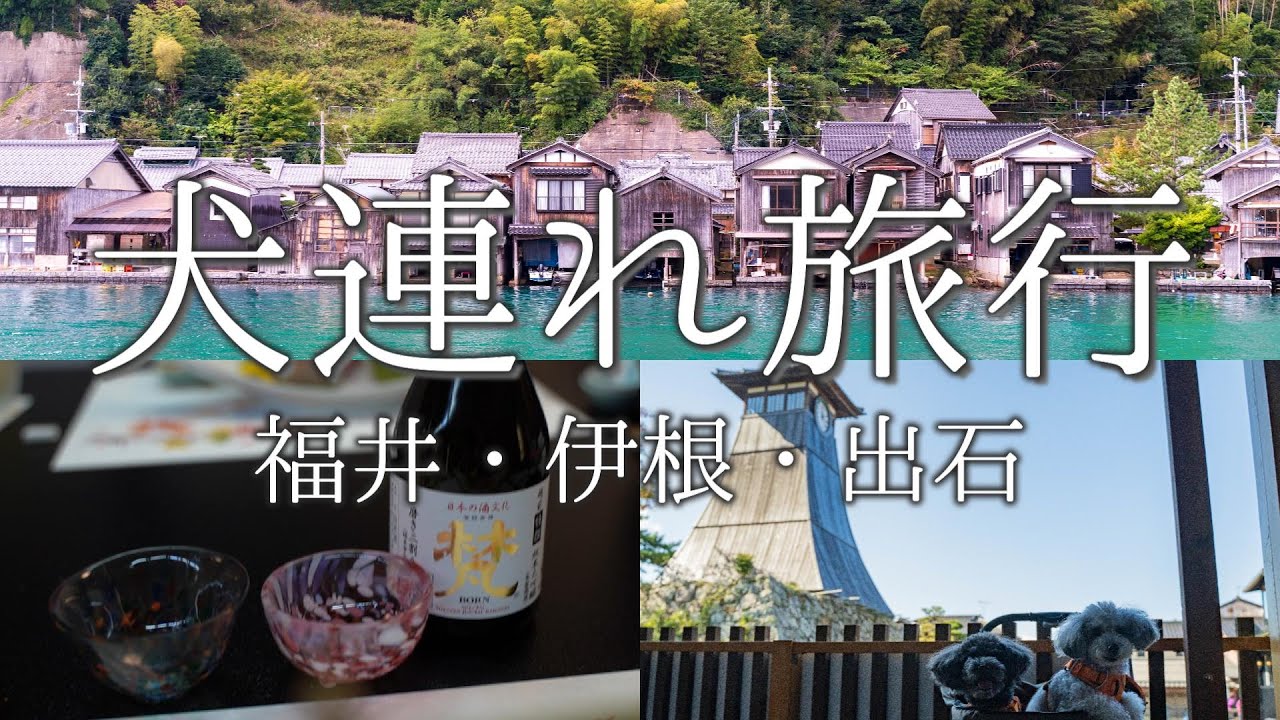 【犬旅】福井～伊根～出石！2泊3日 犬連れ夫婦旅