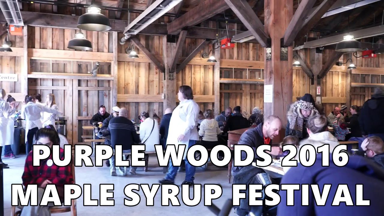 Purple Woods Maple Syrup Festival 2016