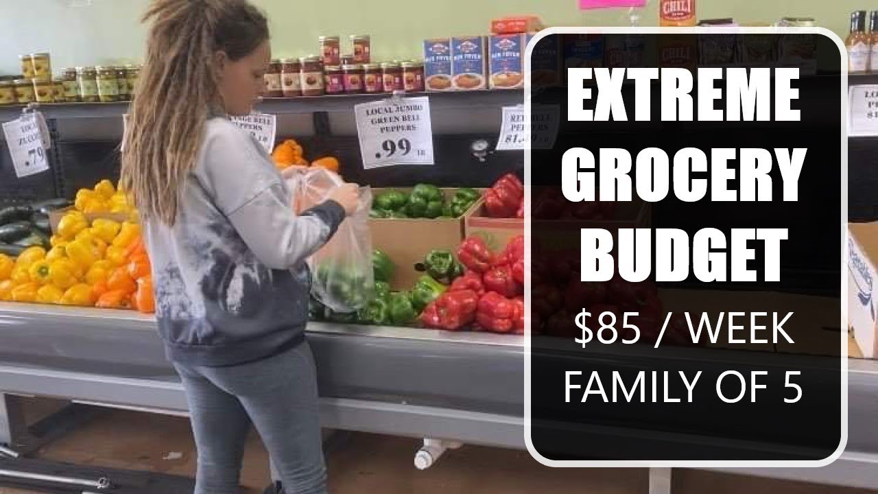 $85 HEALTHY GROCERY HAUL / What my family of 5 eats in a week / Plant-based & Vegan Meals
