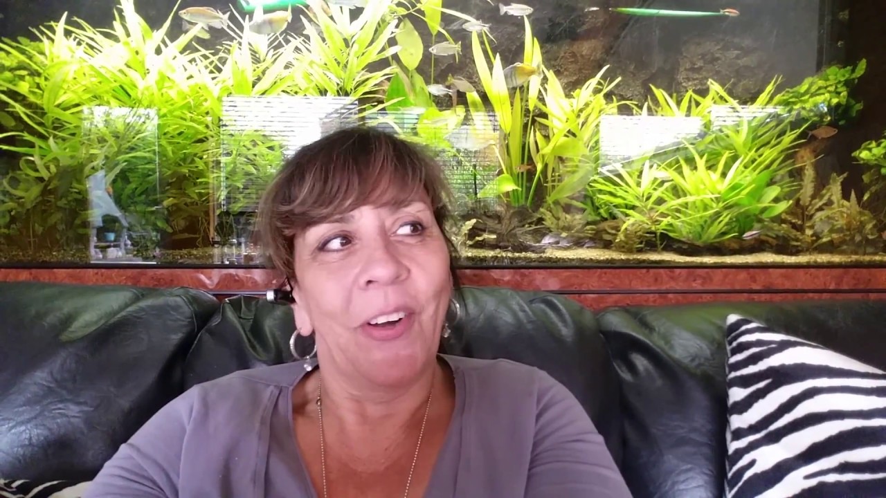 Met een lach en een traan #1  Manon Stokman