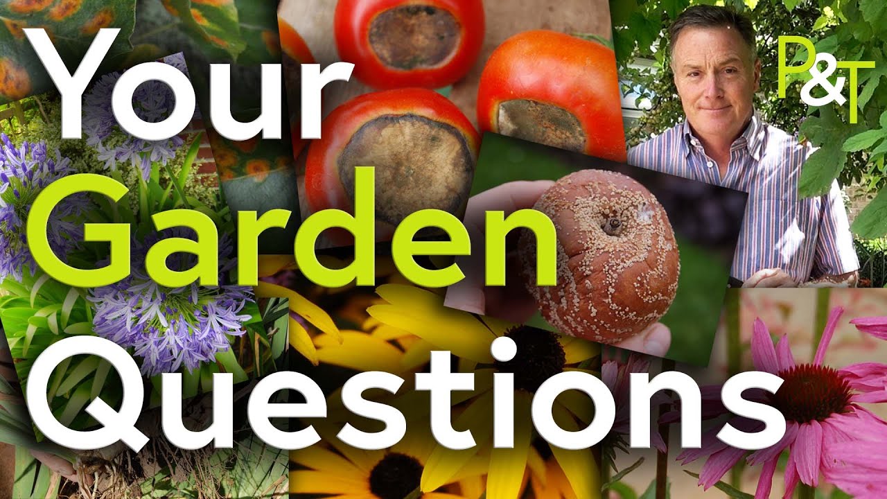 Gardening Questions & Answers - Pots & Trowels