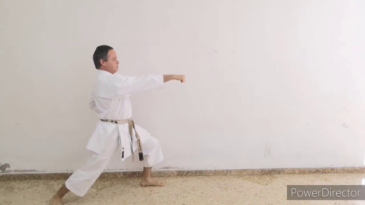 Age Uke Gyaku Zuki