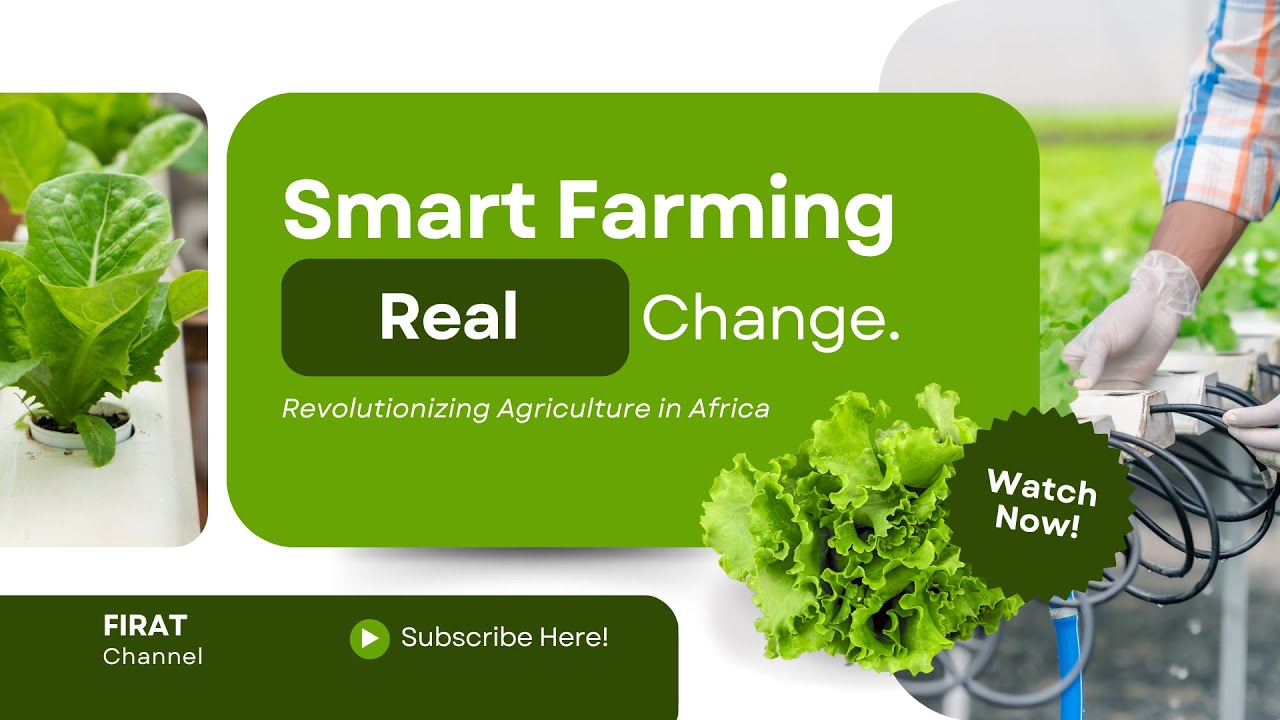 How Technology Is Transforming Modern Agriculture 🌾 | Live with Dr. Ismail Muritala