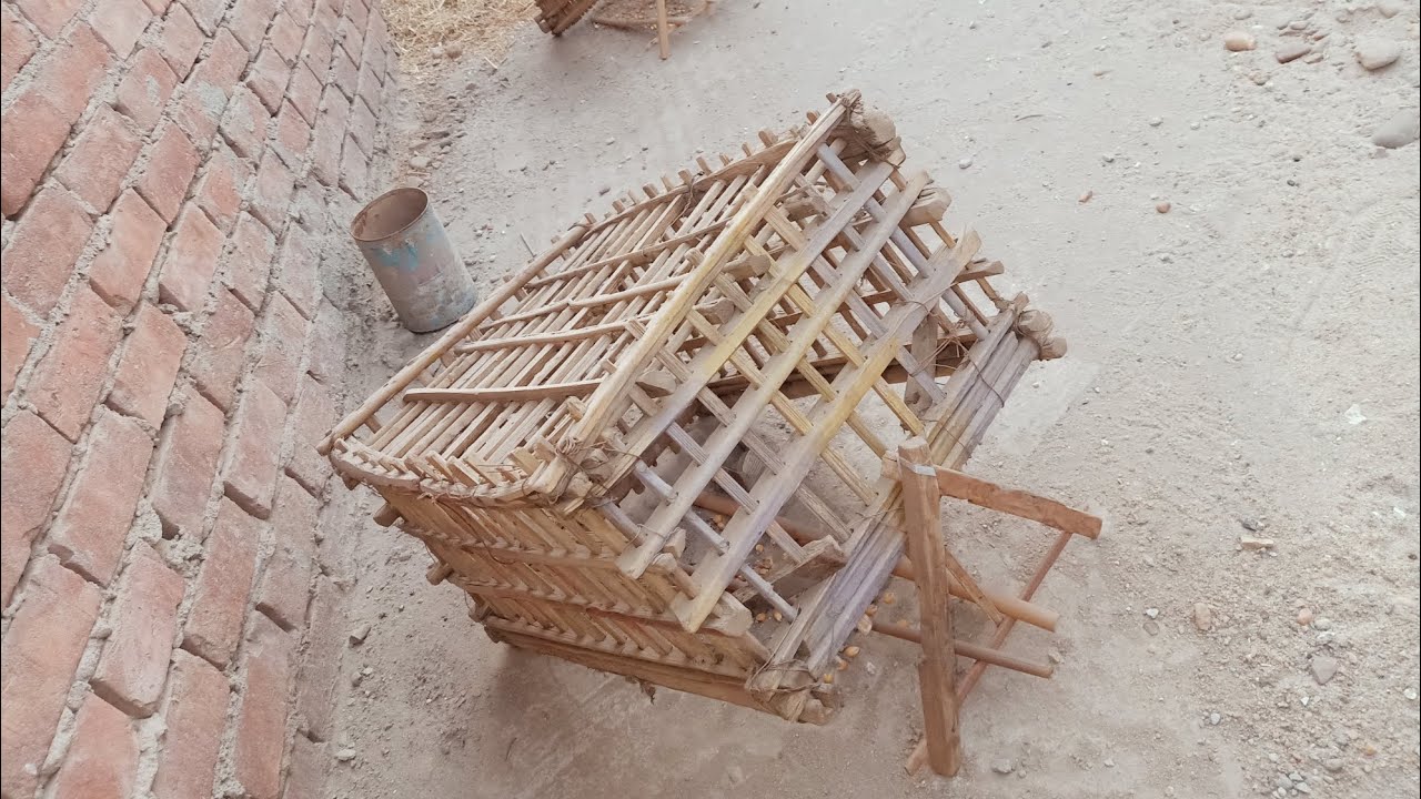 شرح مبسط لفكره مصيده عدايه الطماطم لصيد اليمام البري