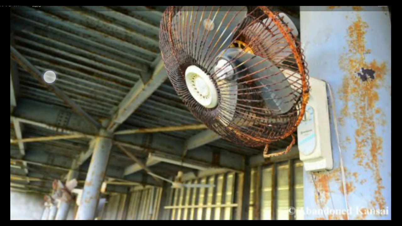Abused Ceiling Fans