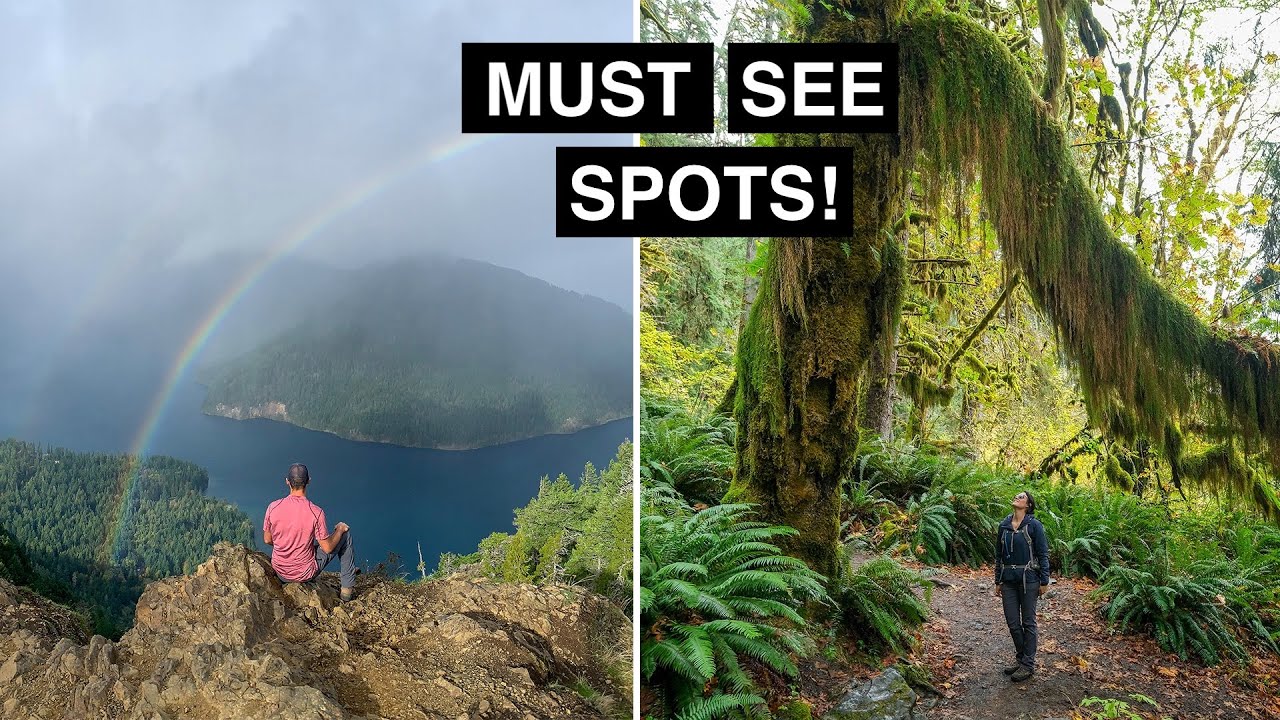48 Hours in Olympic National Park | Maybe the MOST Diverse National Park in the Country