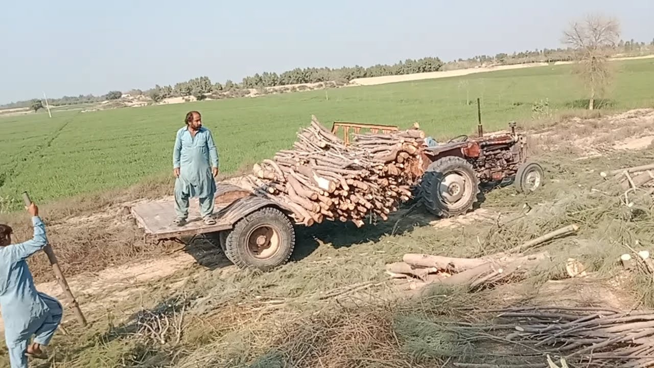 Mf 240 tractor tanveer vlgos