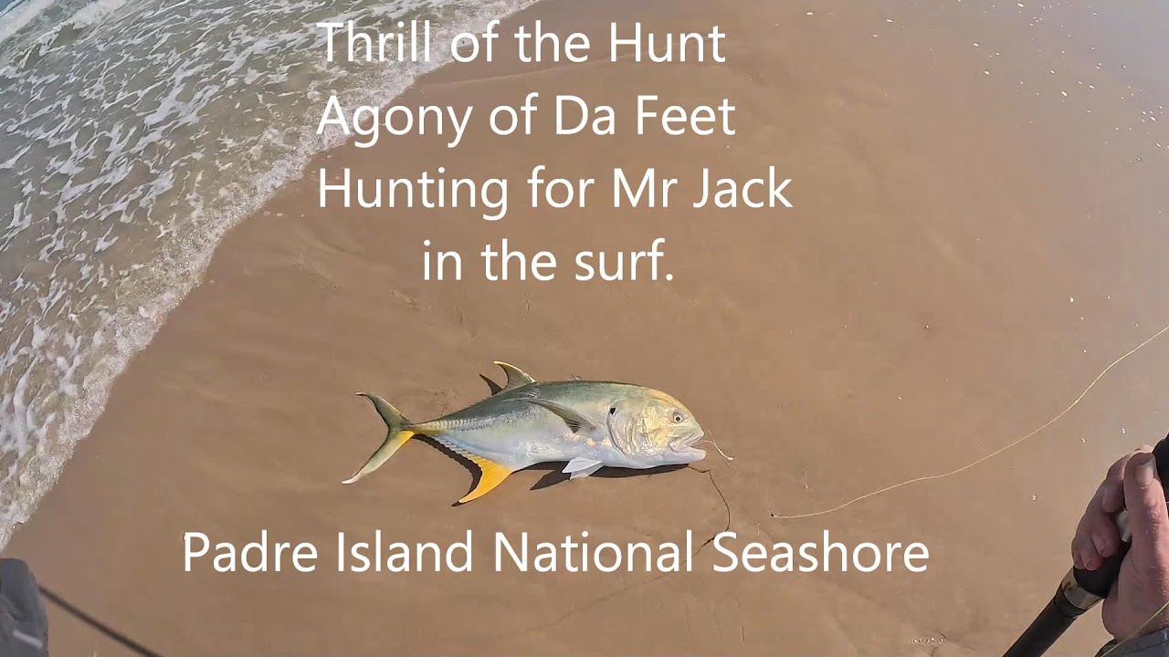 Search for  Mr Jack continues surf fishing padre island national seashore