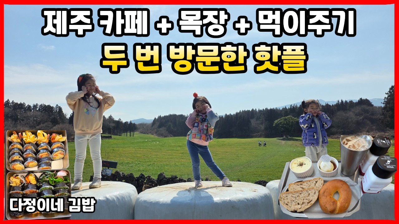 제주 아침미소목장 갔다가 다정이네 김밥 먹었는데… 이 조합 뭐지? (제주도 마지막 편)