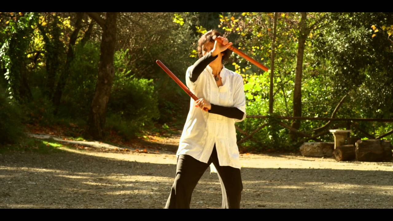 tai chi chuan Nea Smyrni  Alex Dong taijichuan association