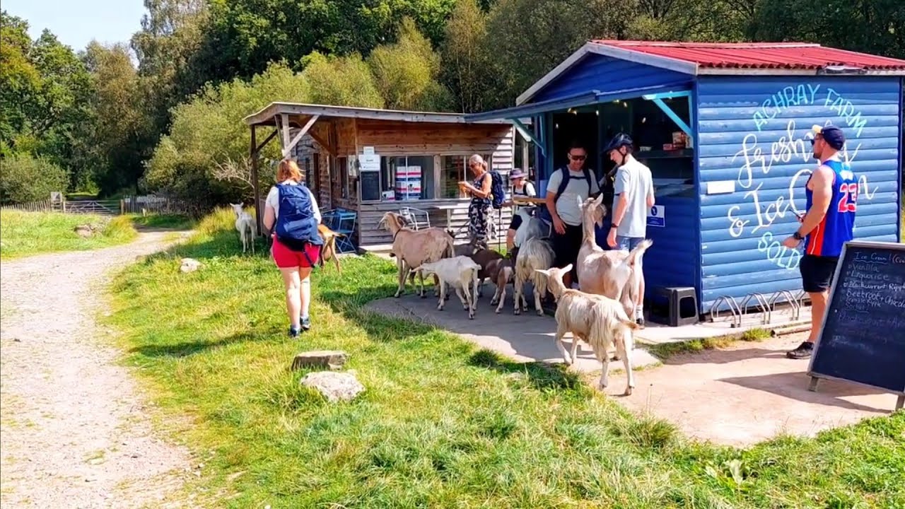 Achray Farm - In The Heart Of The Trossachs 