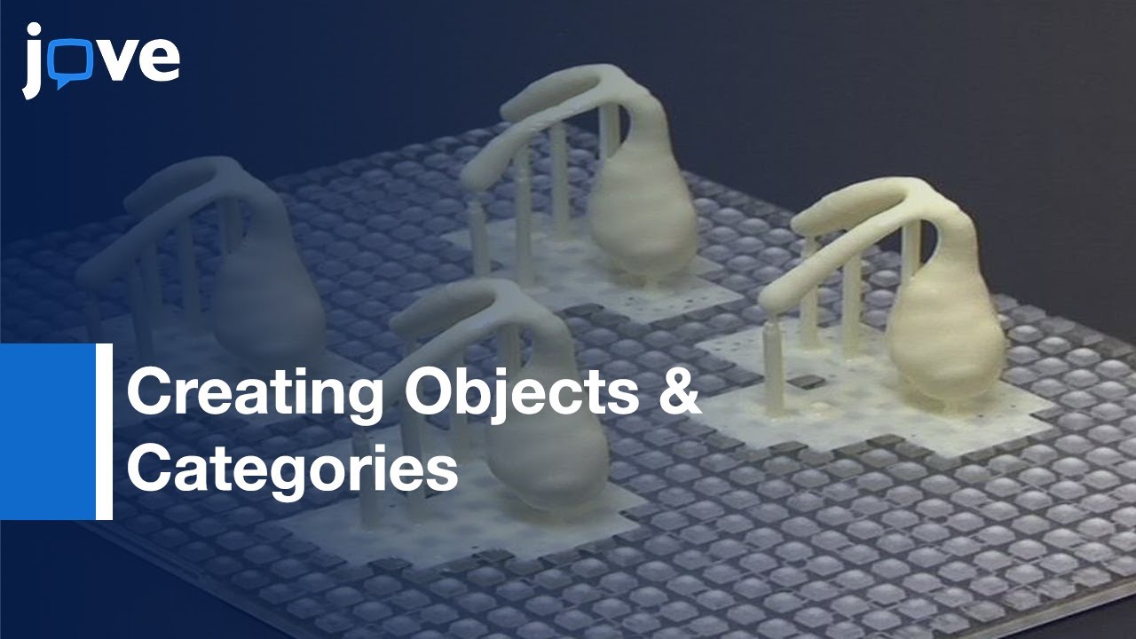 Creating Objects & Object Categories: Studying Perception & Perceptual Learning l Protocol Preview