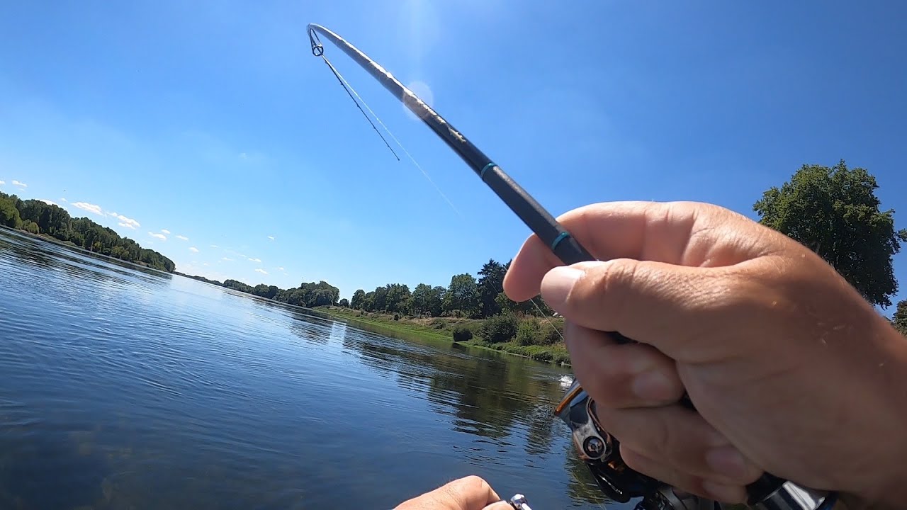 La plus belle pêche d'été : l'Aspe au leurre de surface