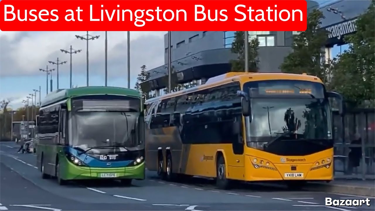 Buses at Livingston Bus Station • Bus Vlog 17/10/24