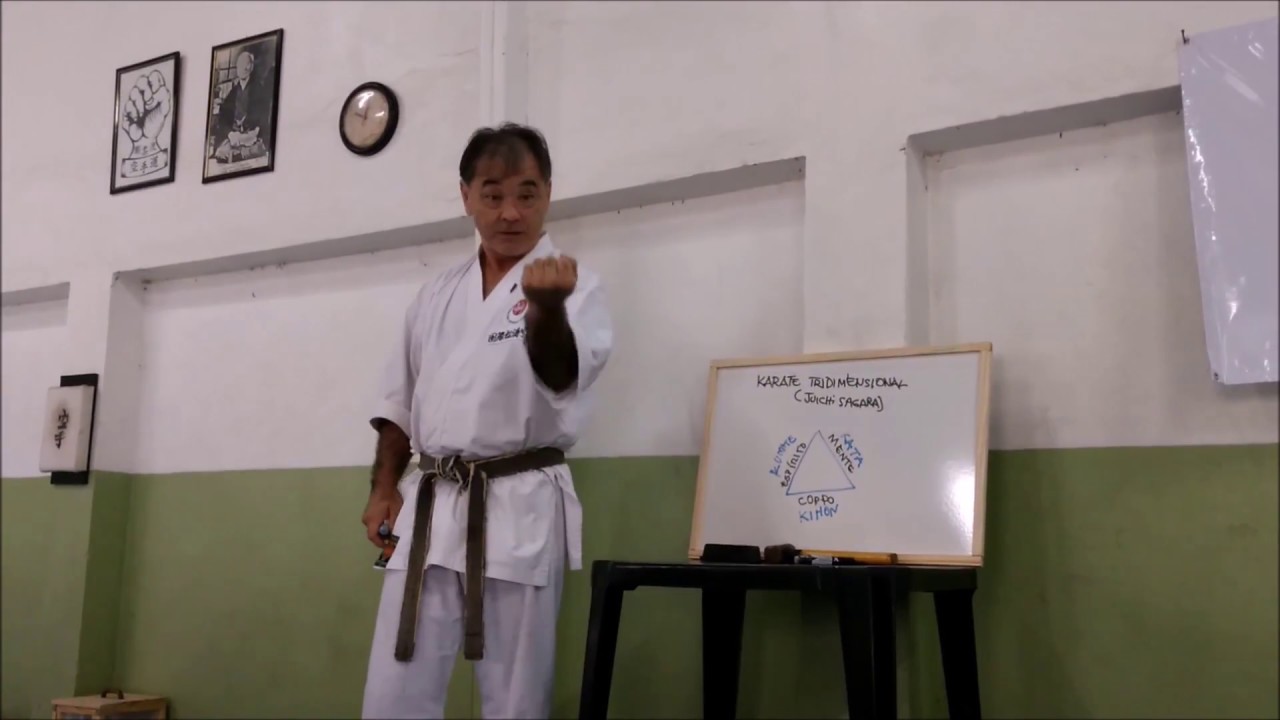 Karate tridimensional  parte 1