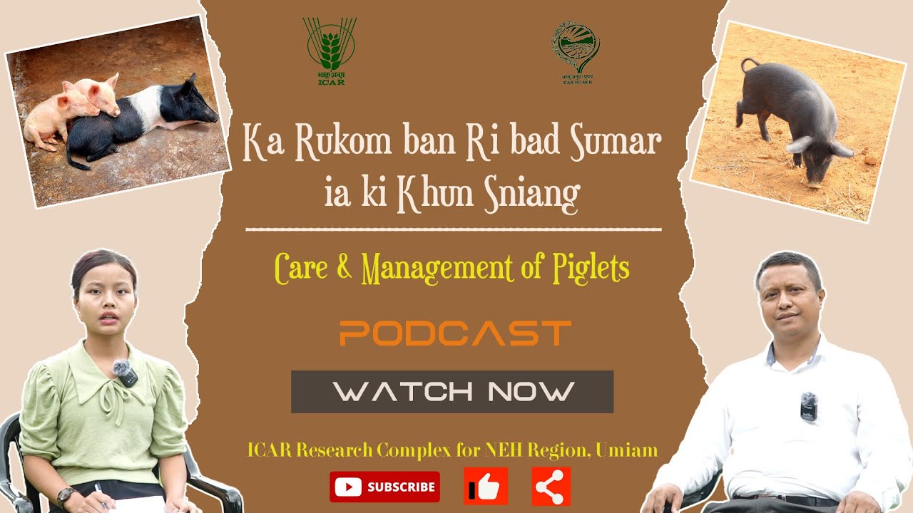 EP - 7 || Podcast on 
