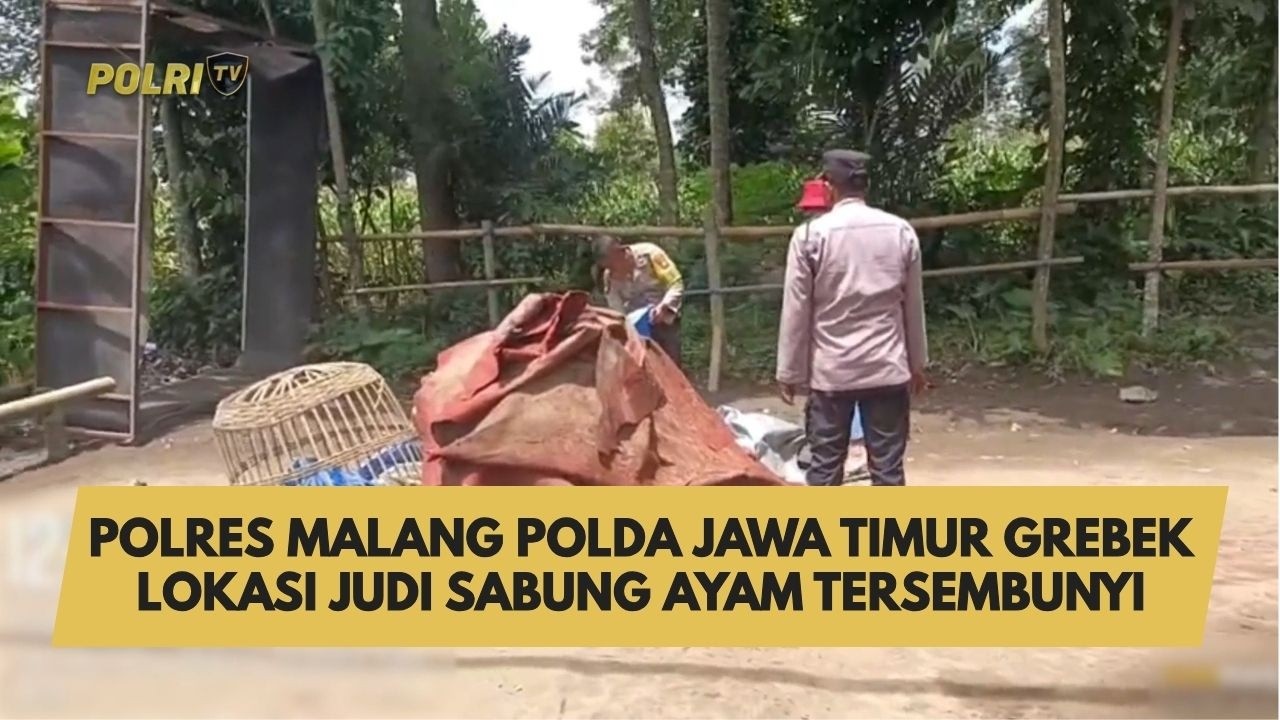 POLRES MALANG POLDA JAWA TIMUR GREBEK LOKASI JUDI SABUNG AYAM TERSEMBUNYI