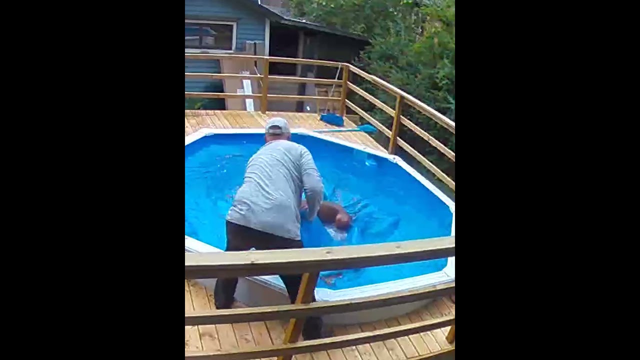 Boxer Dog Fall Into Pool - Saved By Master! 😢 