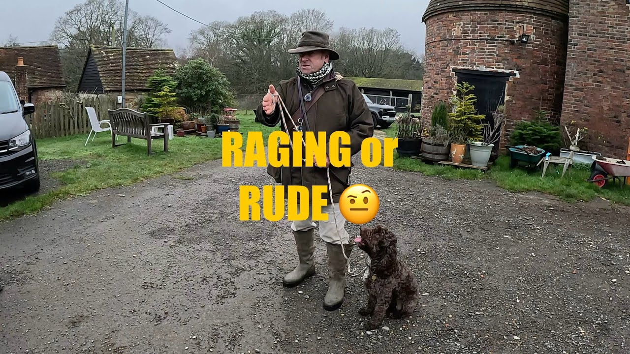 Rage Syndrome or learned Rudeness?