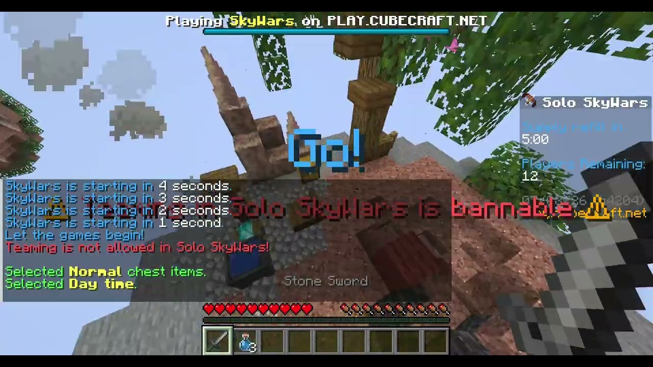 Minecraft Skywars