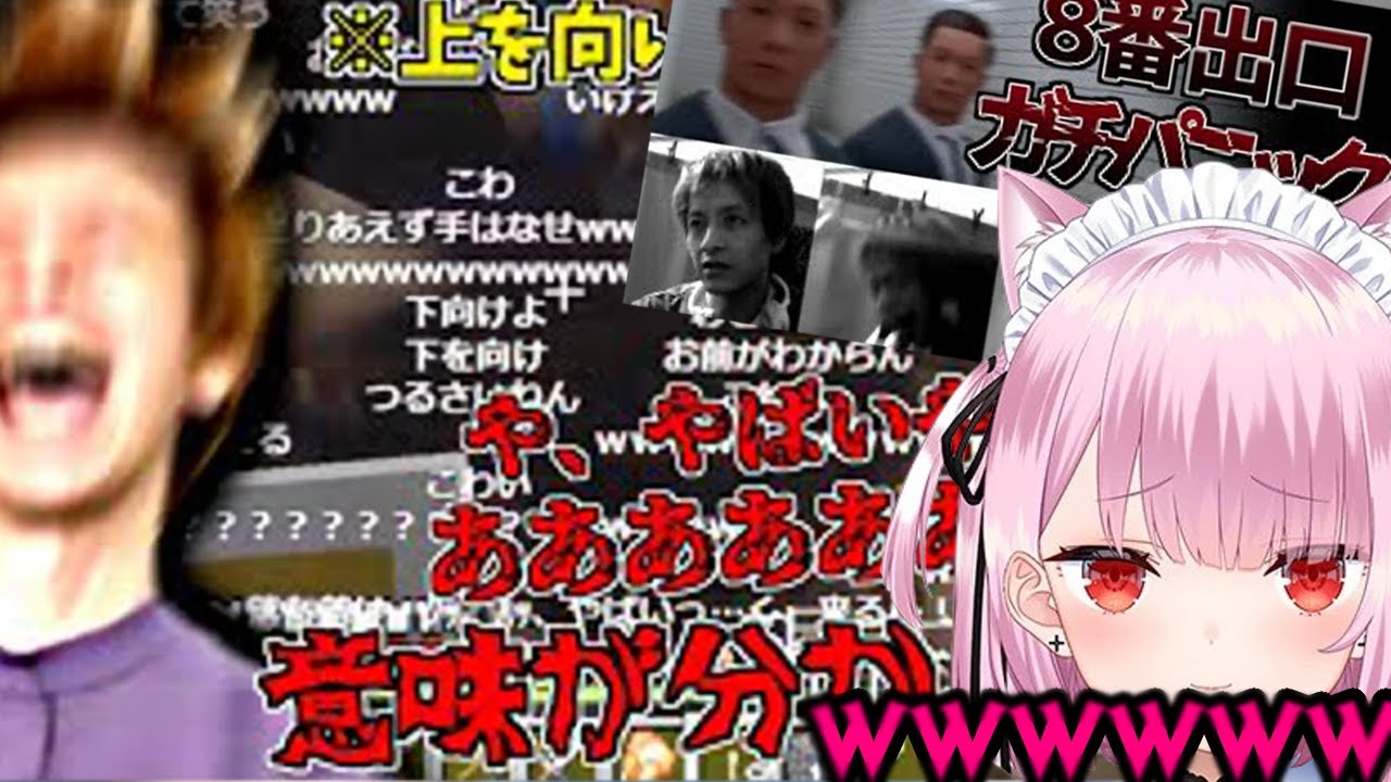 おえちゃんのパニ動画を見るみけねこ【みけねこ】【おおえのたかゆき】【2024/08/13】