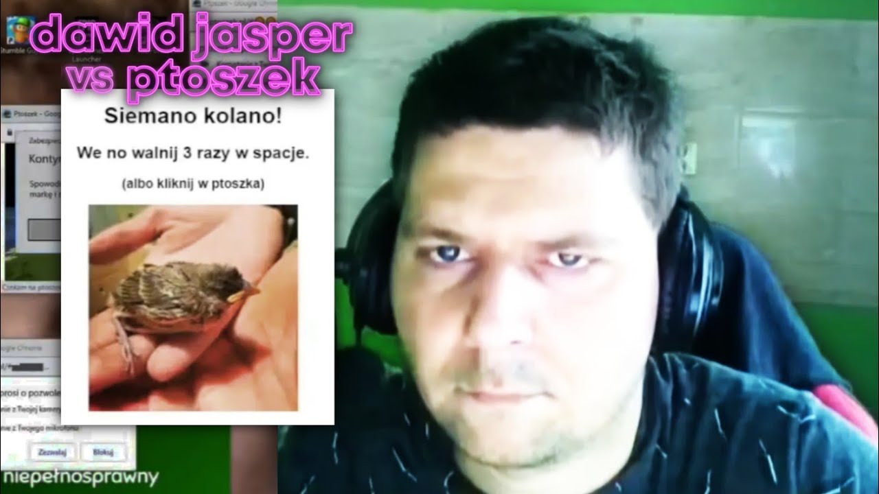 dawid jasper vs ptoszek pl xd