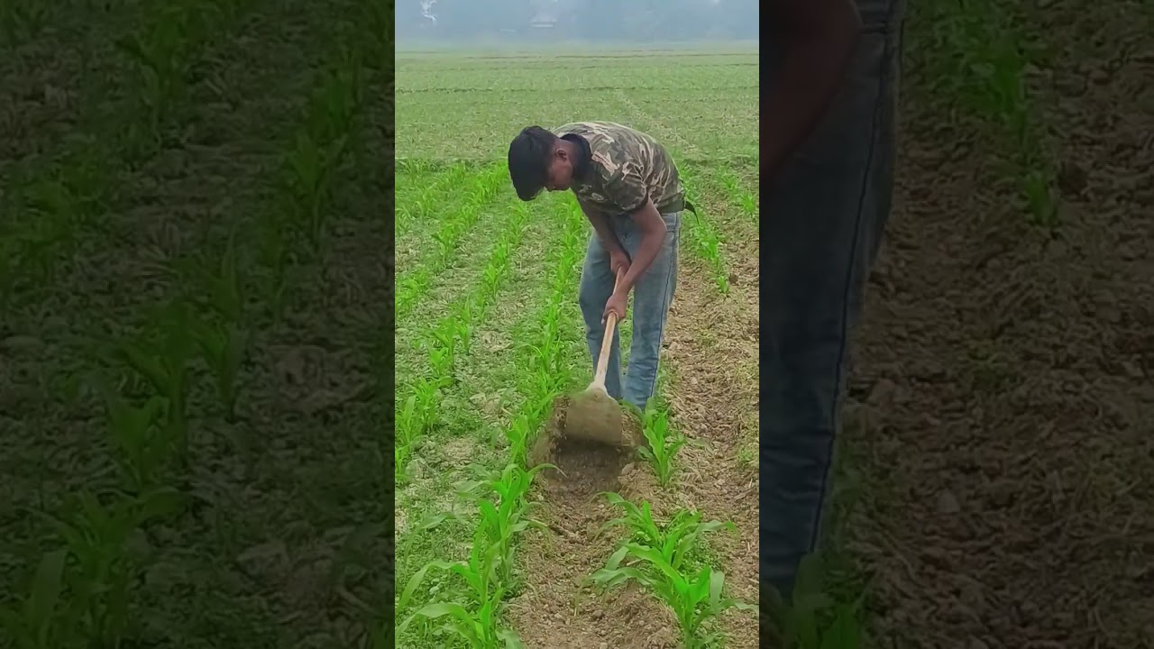 #bhojpuri #dance #love #song #funny #funny  #dildo #ishque #bollywood #comedy and the best way🏠 to