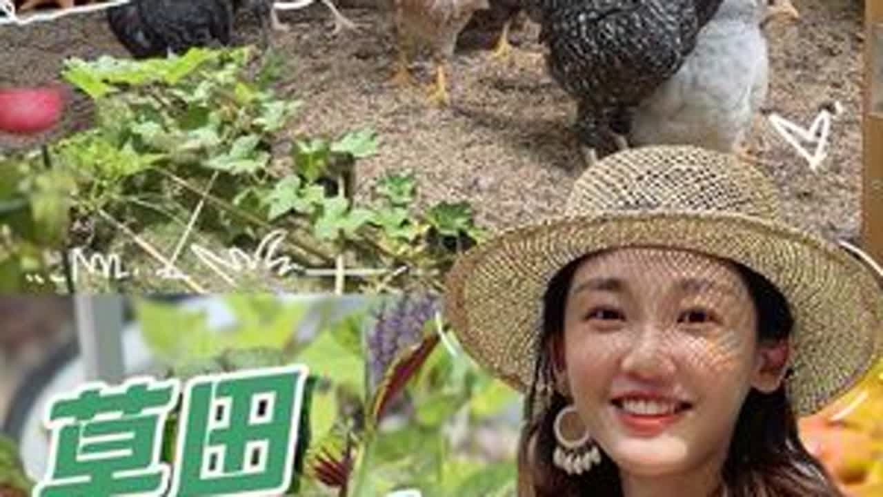 从“蛋”到鸡菜循环的成长日记🐣 #在拍一种很新的vlog #青年创作者扶持计划 #100个很新的人生体验
