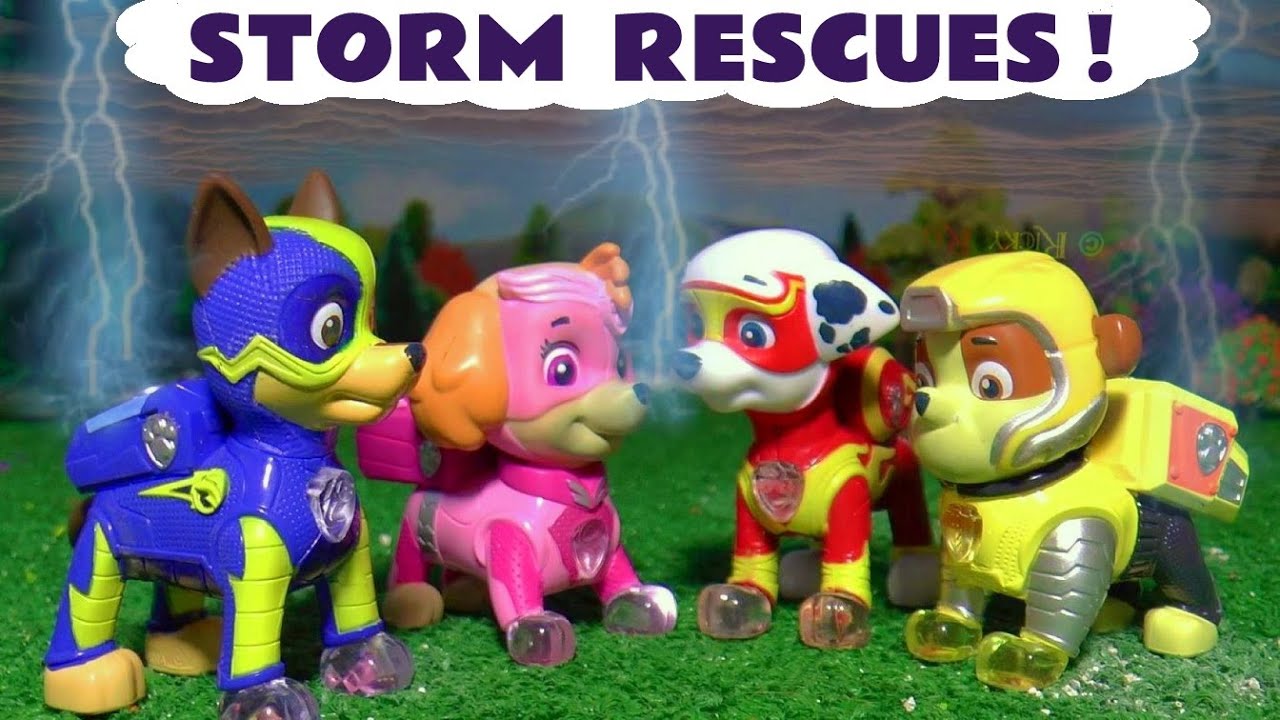 Rescues carried out in a Storm with Rascal Funling