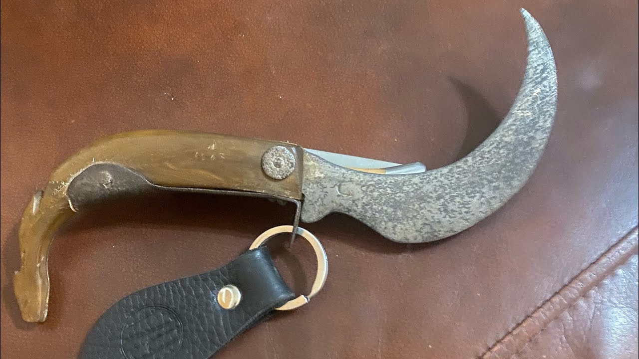 Legend of the saca tripa knife