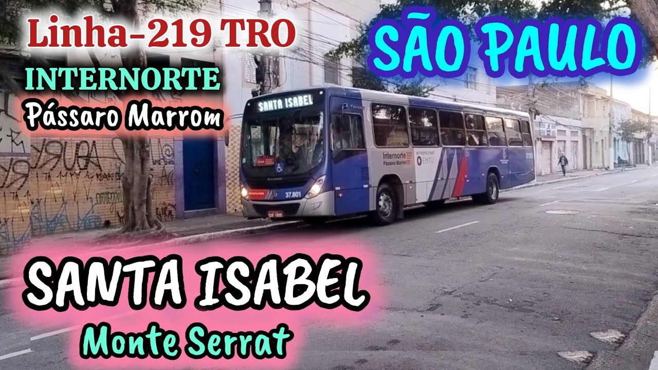 Viagem São Paulo (Armênia) x Santa Isabel - Linha 219 TRO / INTERNORTE - Pássaro Marrom  #viagem 