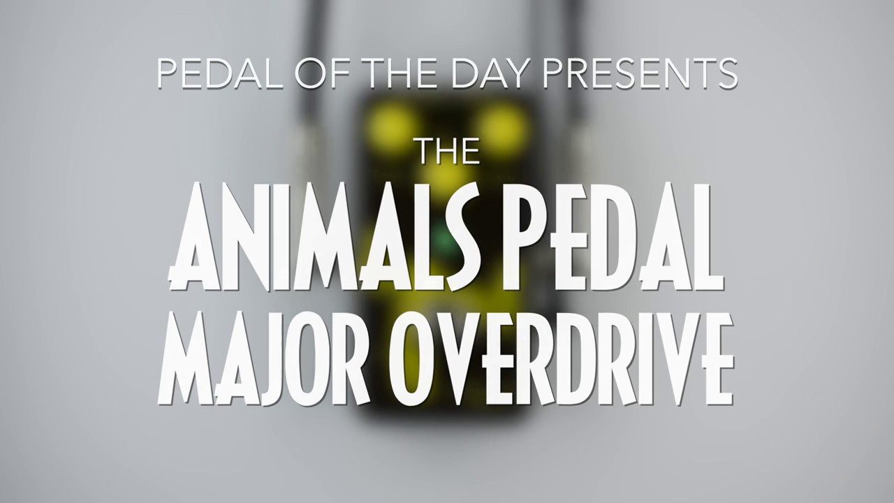 Animals Pedal Major Overdrive