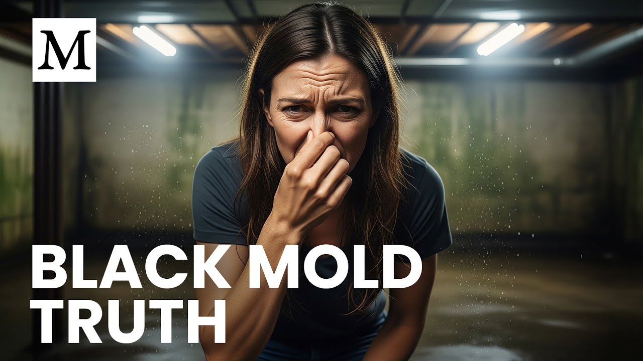 How Dangerous Is Black Mold Really? | Mercola Cellular Wisdom