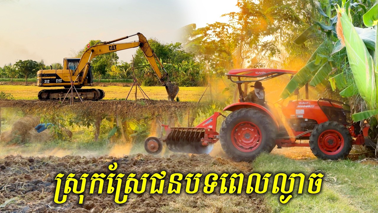 ស្រុកស្រែពេលល្ងាចទេសភាពស្អាតខ្យល់អាកាសបរិសុទ្ធល្អ
