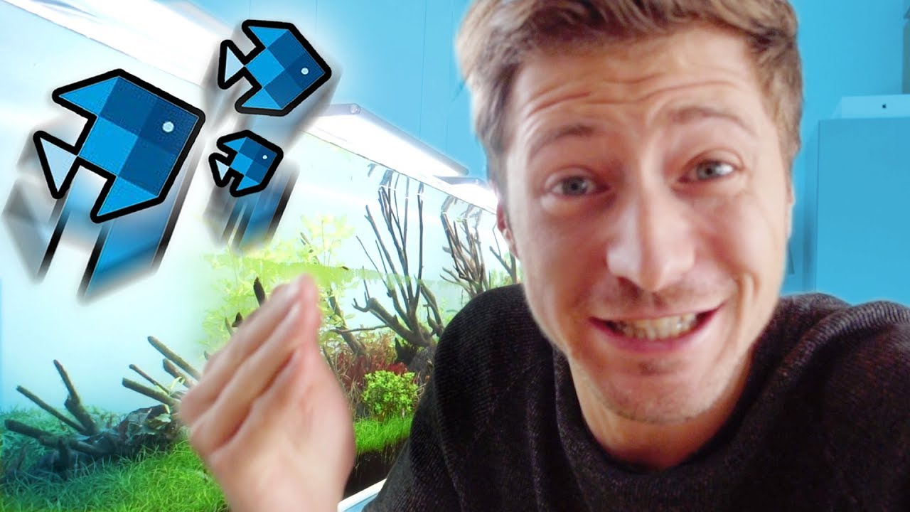 Die krassesten Fische im XXL Aquarium! 😱