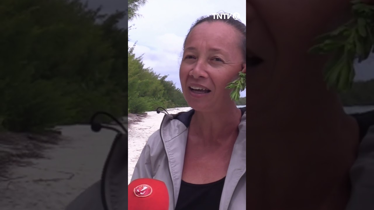 Le motu piscine &agrave; Raivavae