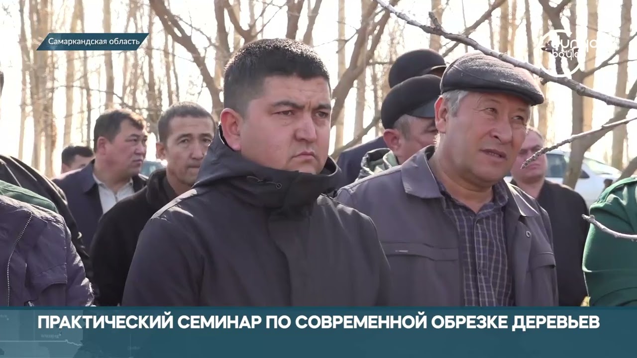 5 февраля 2026 г.
