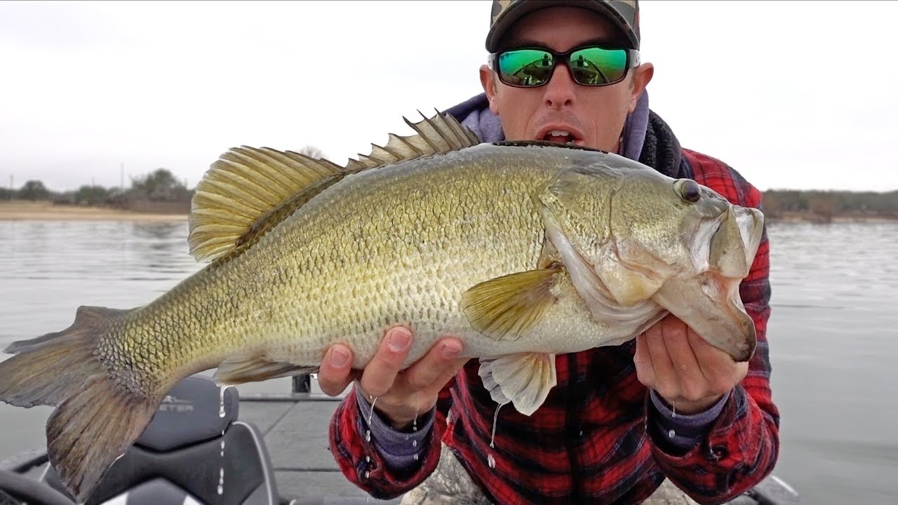 MONDO BASS eats Lure while Deep Brush Fishing