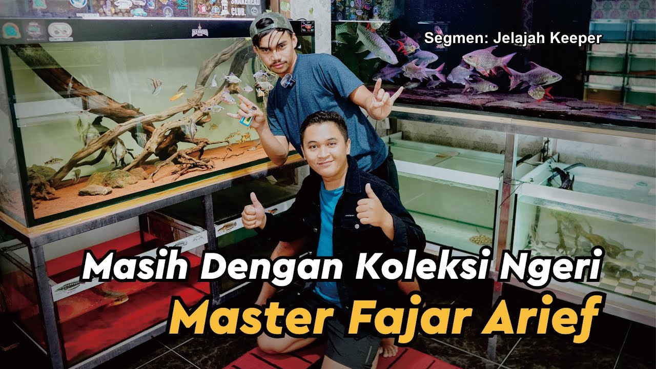 Cara Fajar Arief Progress Channa Maru dan Koleksi-koleksi barunya 
