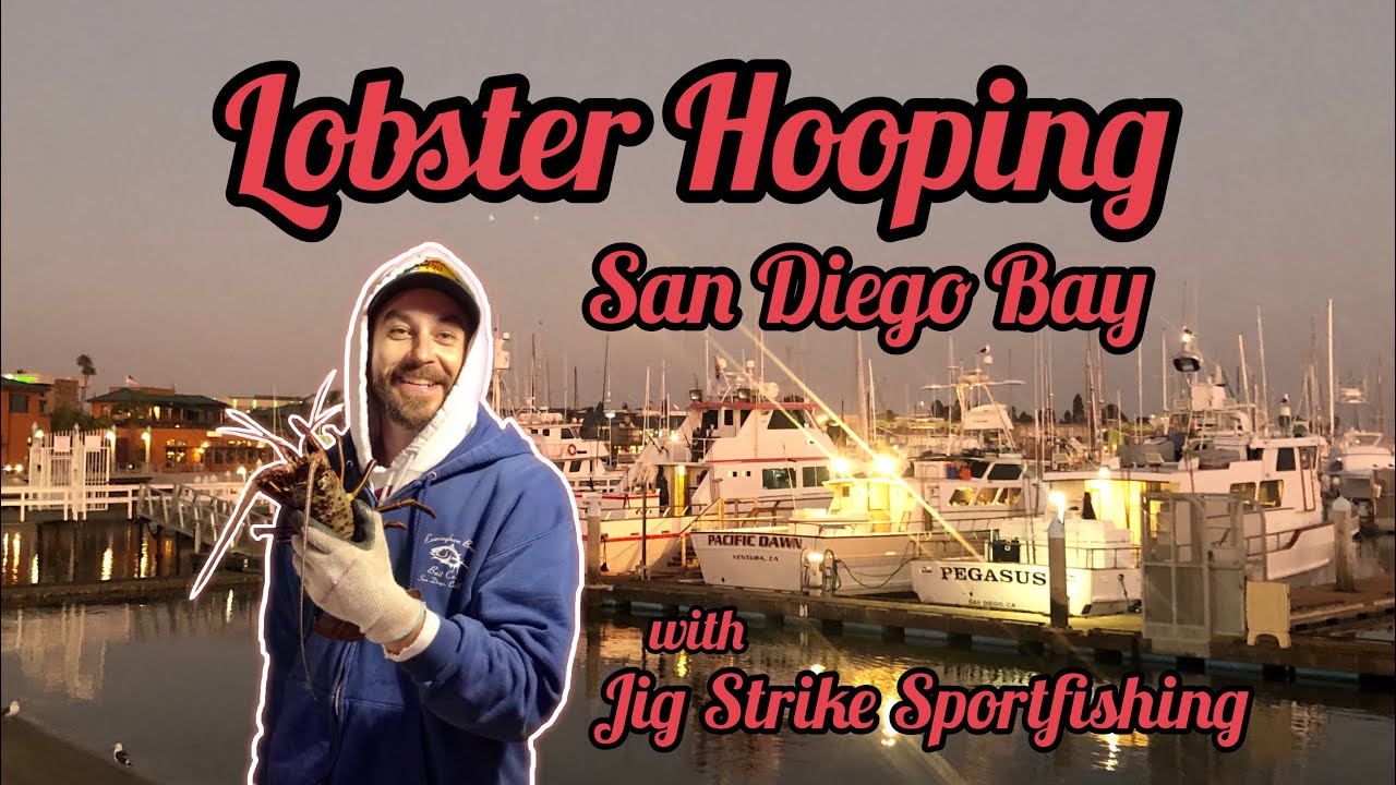 Lobster Hooping San Diego Bay w/ Jigstrike Sportfishing (CATCH & CLEAN)