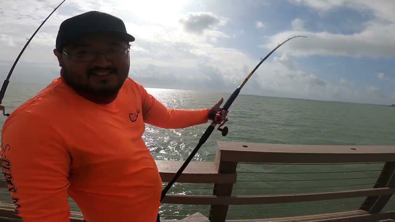 We hooked into a pier monster!